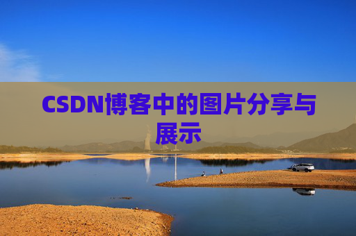 CSDN博客中的图片分享与展示
